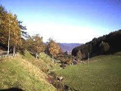 Waldgasthof Altersbach Waldkirch Exterior foto